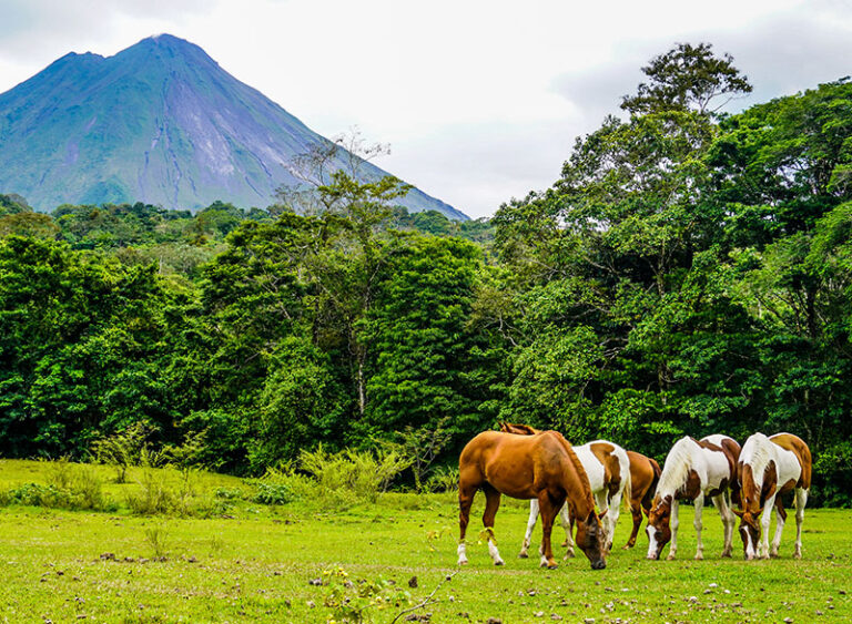 Excelentes-vistas-desde-el-Hotel-Arenal-Paraiso