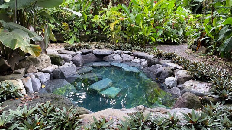 mineral-rich-hot-spring