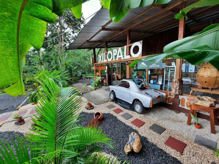 arenal-xilopalo (1)