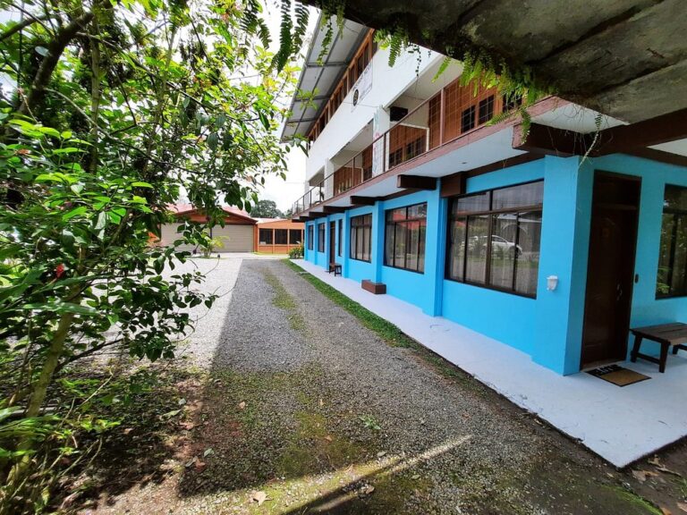 arenal-xilopalo (2)