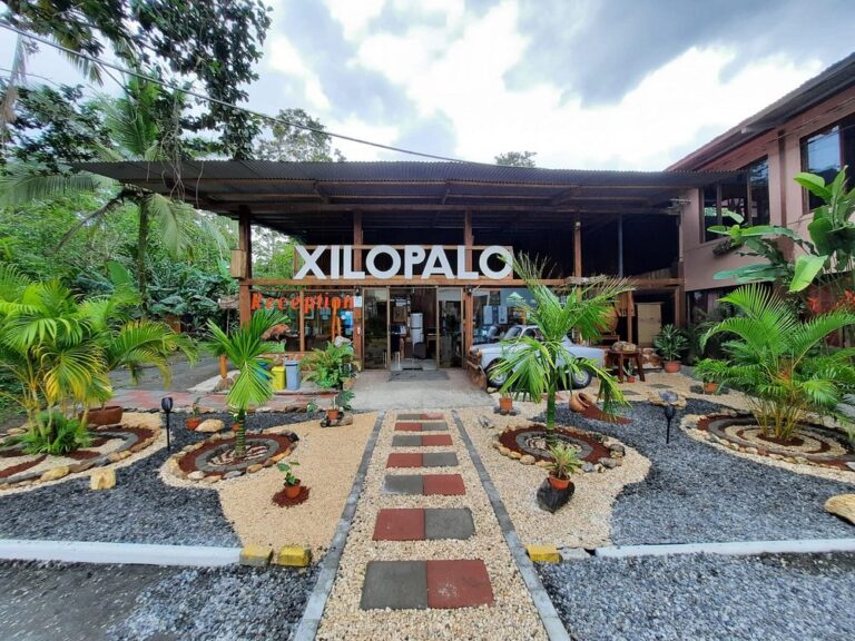 arenal-xilopalo (3)