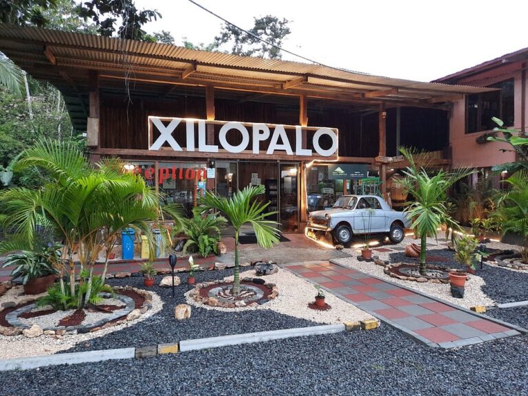 arenal-xilopalo
