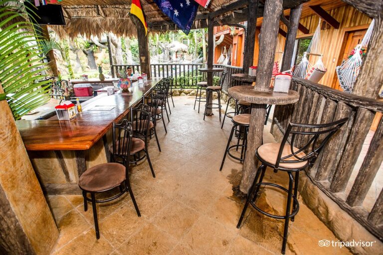restaurant--v10845076